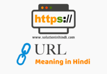 URL Meaning in Hindi (यूआरएल क्या है)